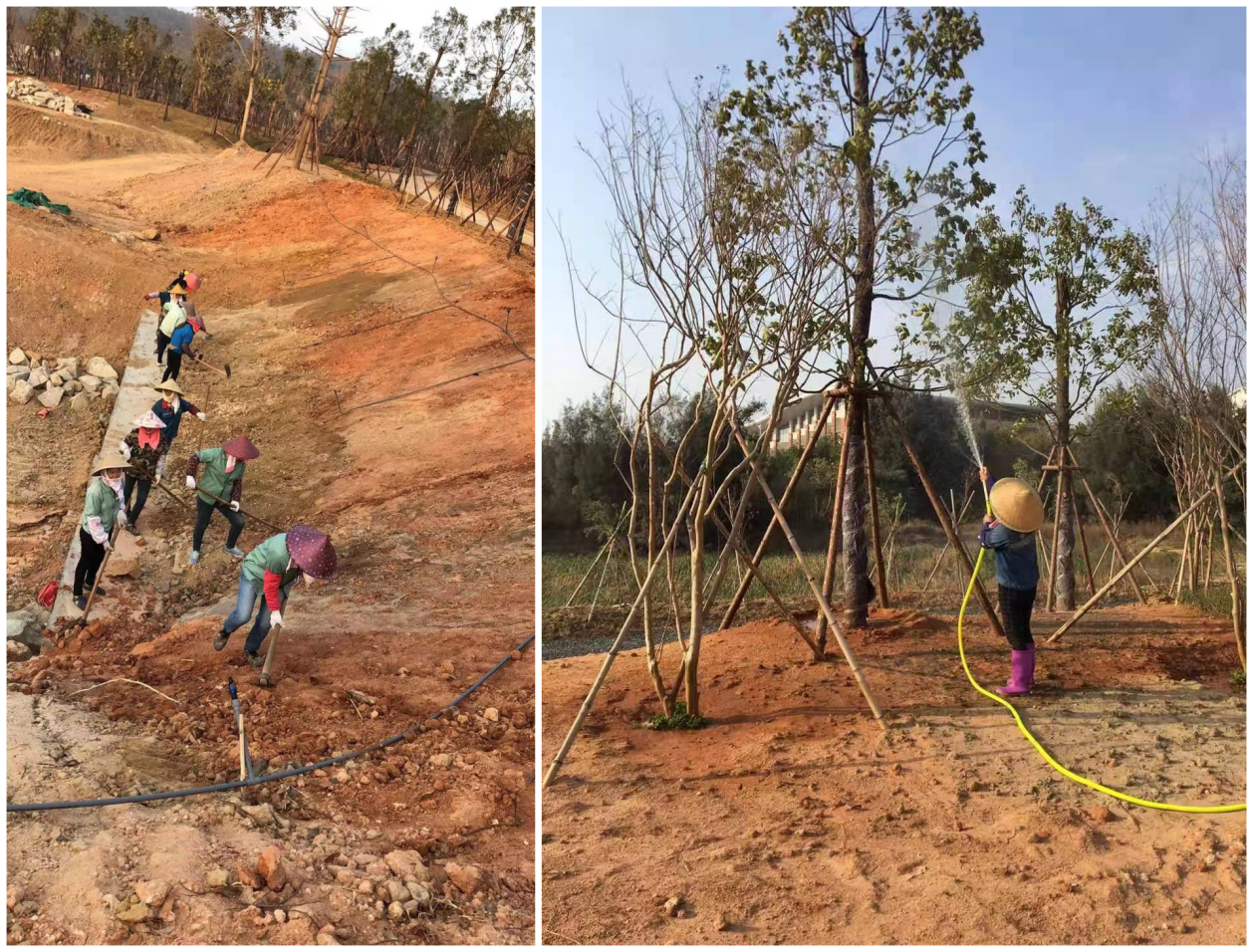 坚守岗位   温暖守护美丽的厦园