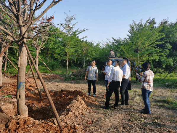 翔安服务办圆满完成学校义务植树活动后勤保障工作