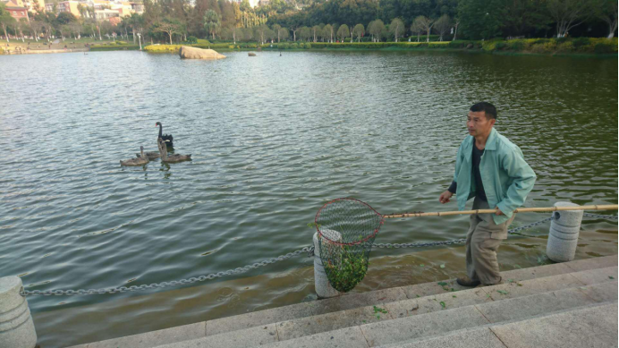 五一:向那些劳作的背影致敬