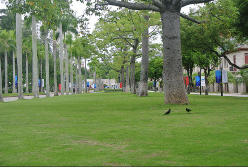 【后勤迎双创】鲜花为“双创”盛开,为“涌仔”喝彩