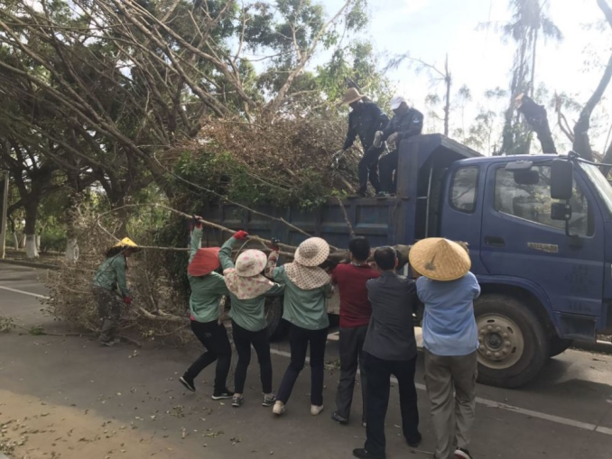 用爱守护校园的“花木兰”——漳州校区物业部道路协管员蓝瑞敏