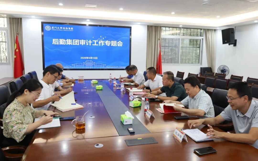 集团召开审计工作专题会