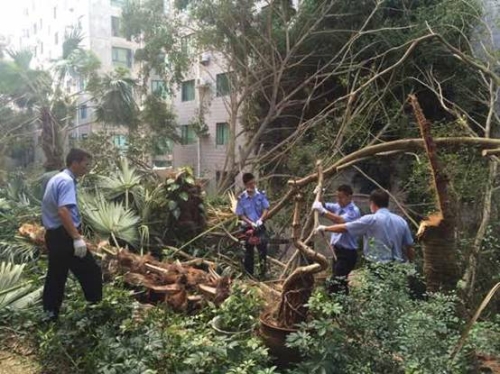 校内住宅服务团队,最可爱的人——南强物业感动瞬间
