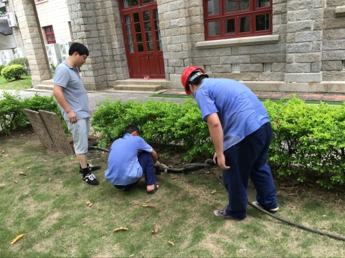 炎炎夏日,让青春绽放——水电服务中心完成同安一电力增容工作