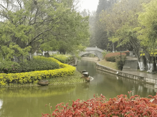 阳春三月无限好,花红柳绿春日俏——学生公寓与环境服务中心绿化保洁部积极开展春季苗木补植补栽工作