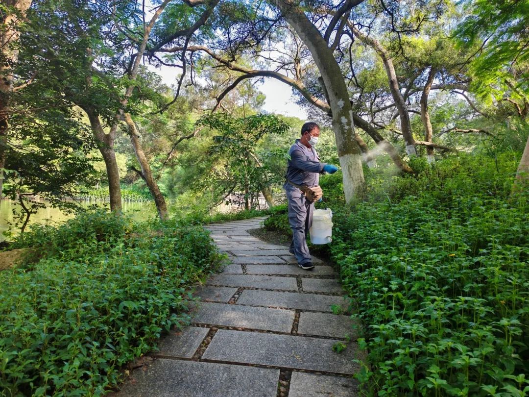 科学防治除虫害,安全环境共守护