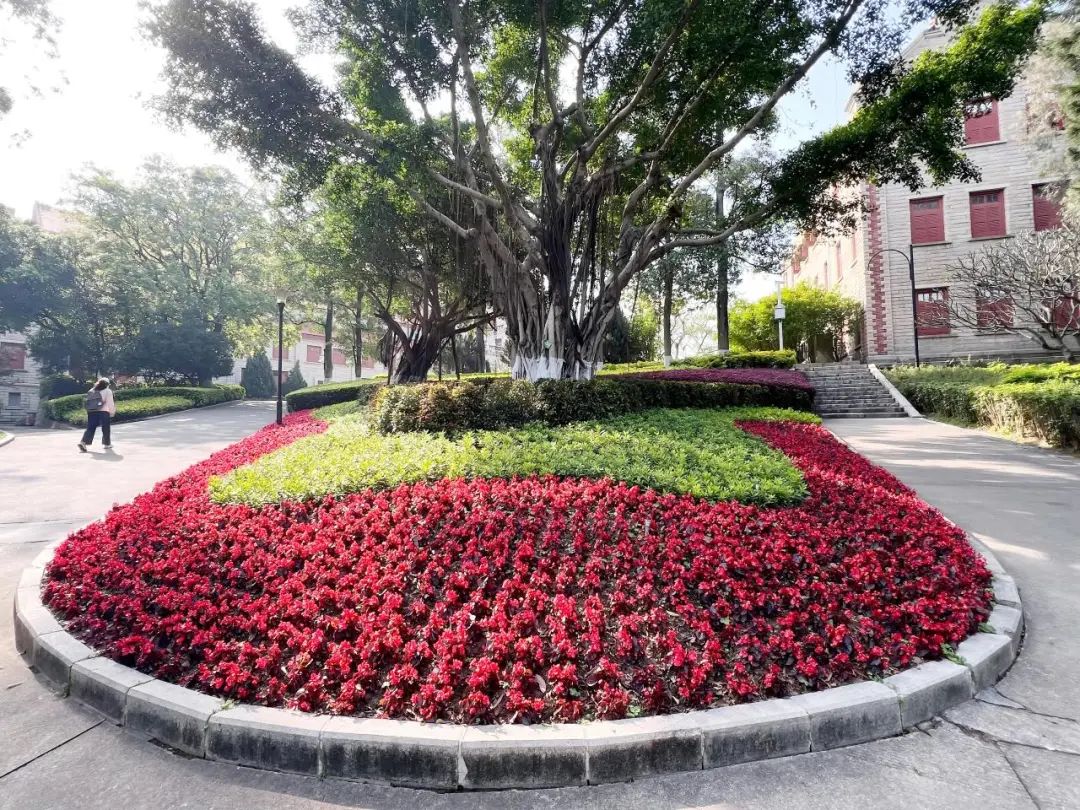 给春天充个“植”,共绘美丽校园画卷