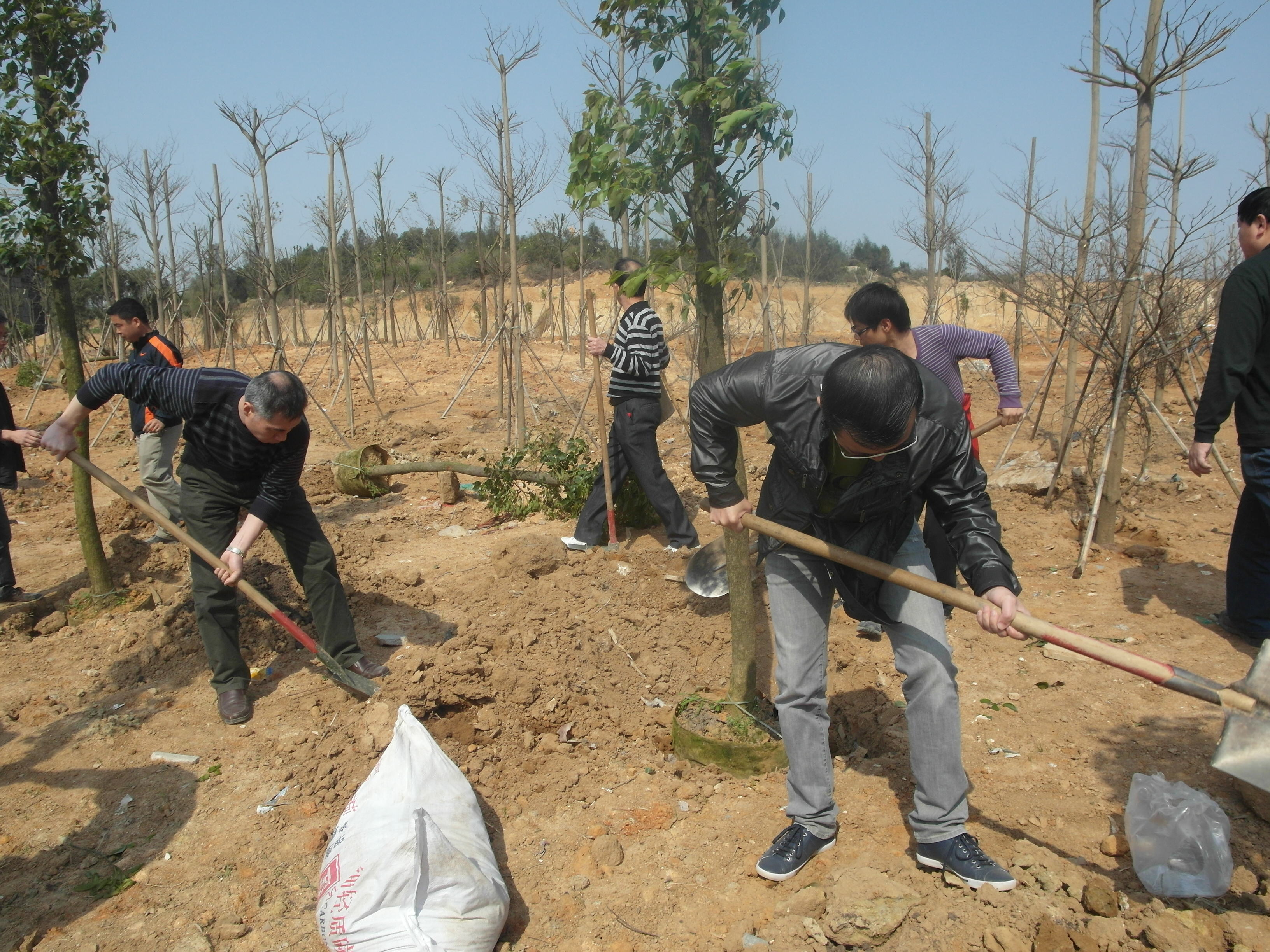 后勤集团开展义务植树活动