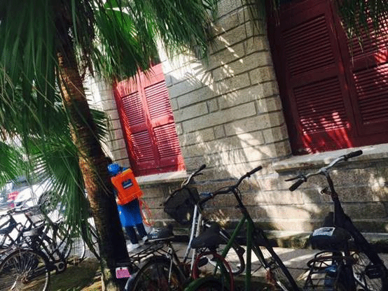 【众志成城,防抗“莫兰蒂”】救灾善后 众志成城——学生公寓与环境服务中心全力以赴做好灾后恢复工作