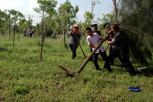 重建美好校园,有我一份——翔安校区安防队主动请缨扶救树木