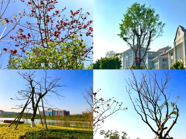 春日里后勤服务的小美好