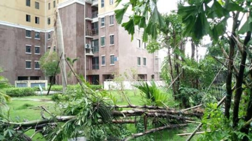 台风无情人有情,真心服务为业主