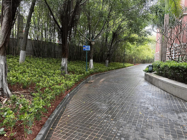 春季补植正当时,不负三月好春光