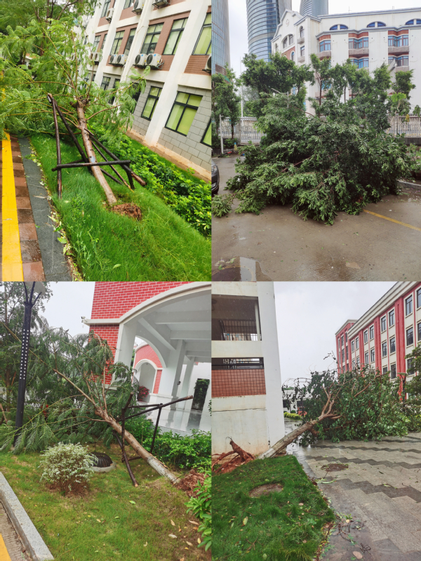 南强物业公司全员投入灾后恢复抢救,以最快速度还原各项目正常秩序