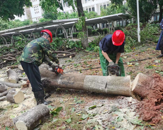 发扬“四个特别”精神 展现靠谱后勤风采——后勤集团全力迎战台风守护校园师生安全