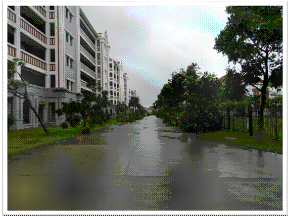 台风过后,绿化员工扶植忙