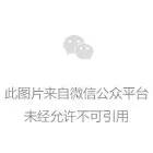 继续推进全面从严治党 营造风清气正政治生态