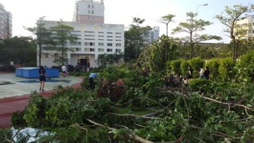 前埔北区小学发来感谢信,南强物业收获感动和鼓舞