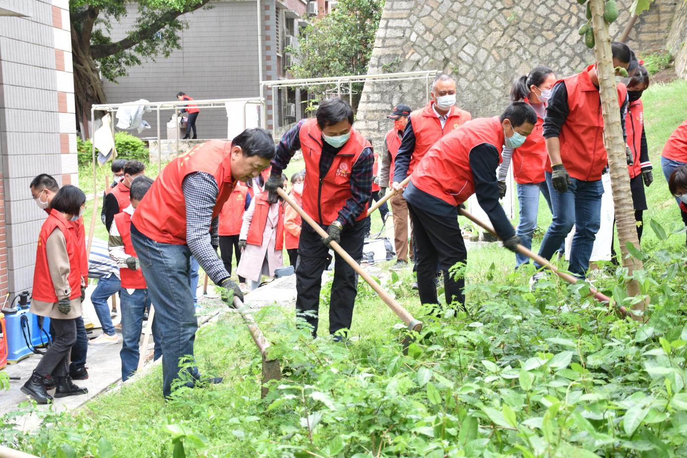 开展爱国卫生运动,共建健康绿色校园