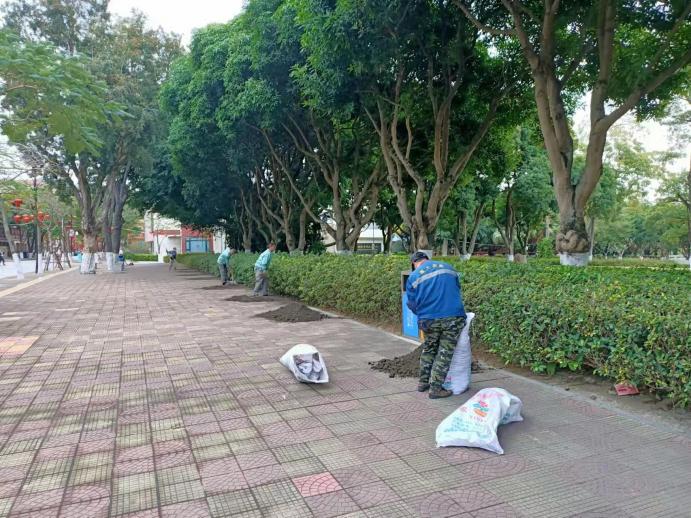 学生公寓与环境服务中心组织开展春季苗木施肥工作