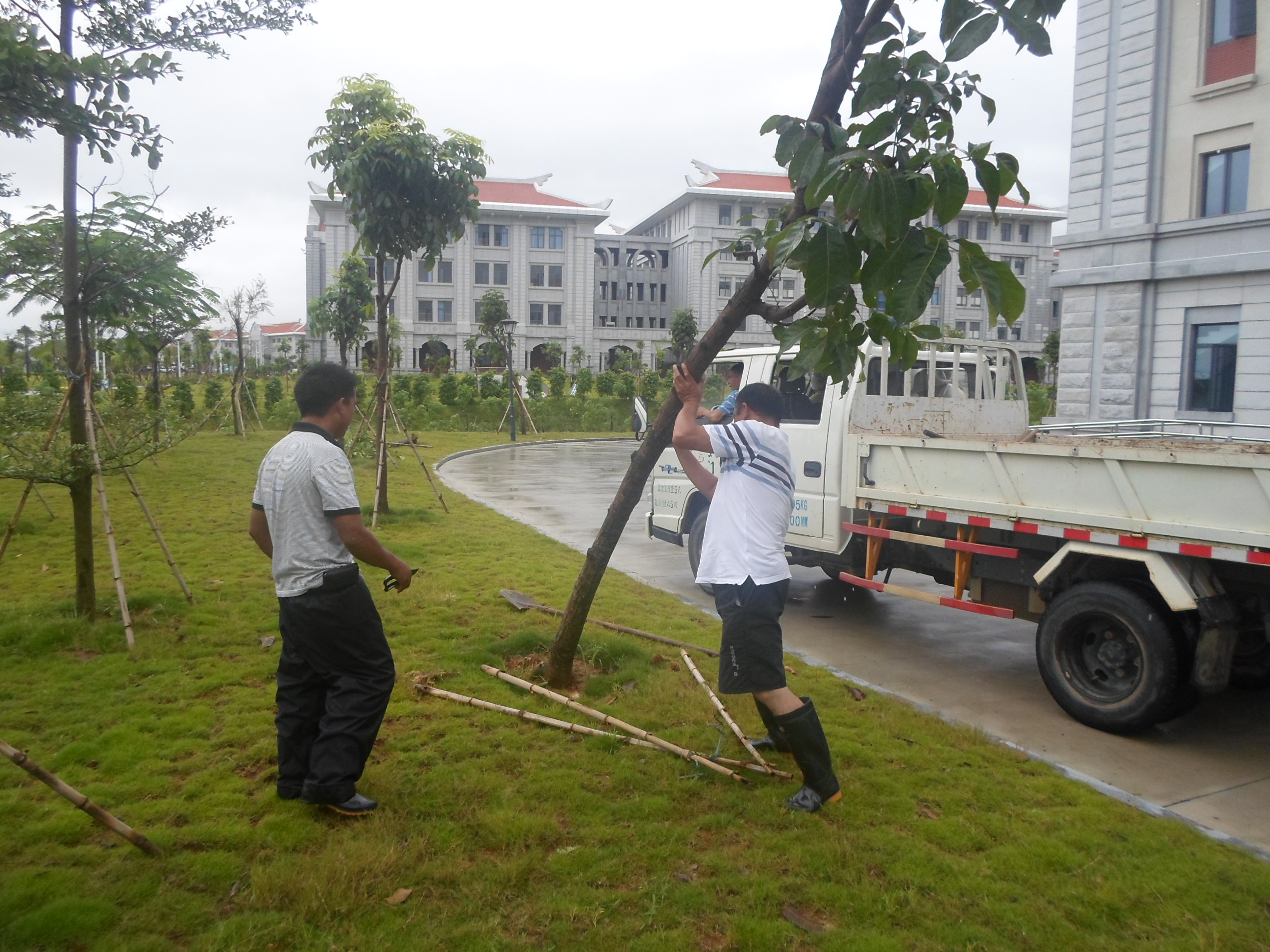 以无当有,翔安校区服务办全力抗击“西马仑”