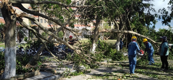 聚集团之力 抢灾后恢复——后勤人抢时间,拼速度,全力打赢漳州校区灾后恢复战
