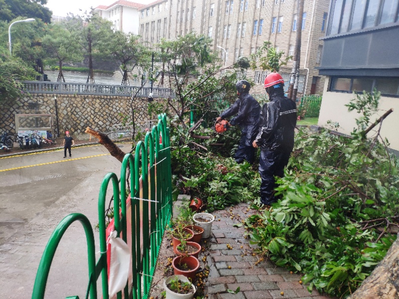 回望台风“米克拉”,我们一直都在