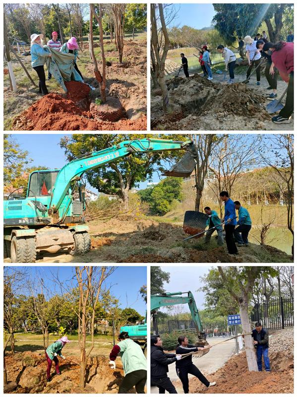 阳春好时节,携手植树忙