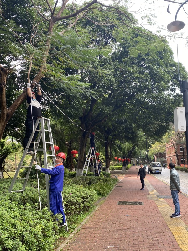 水电服务中心精心布置校园春节彩灯