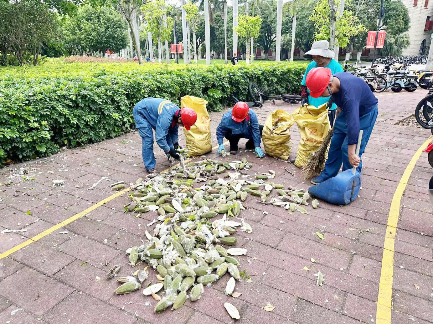 强化服务保障,筑牢安全防线