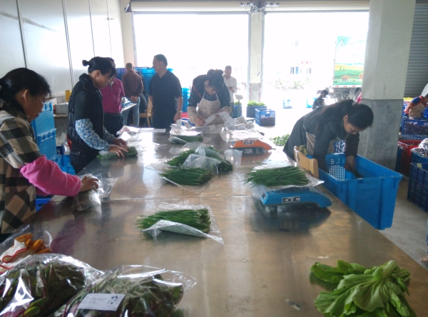 集团领导赴漳州各市县考察农产品生产基地