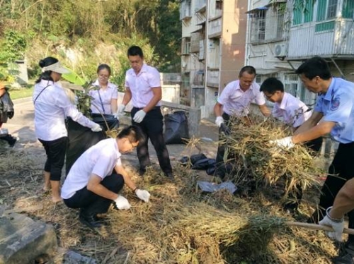 人人动手 还我美丽校园--物业党支部灾后校园清理