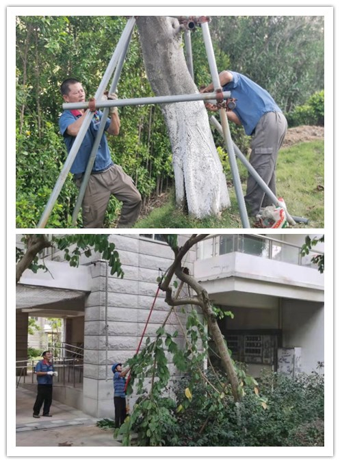 严阵以待,提前做好台风“圆规”防御工作