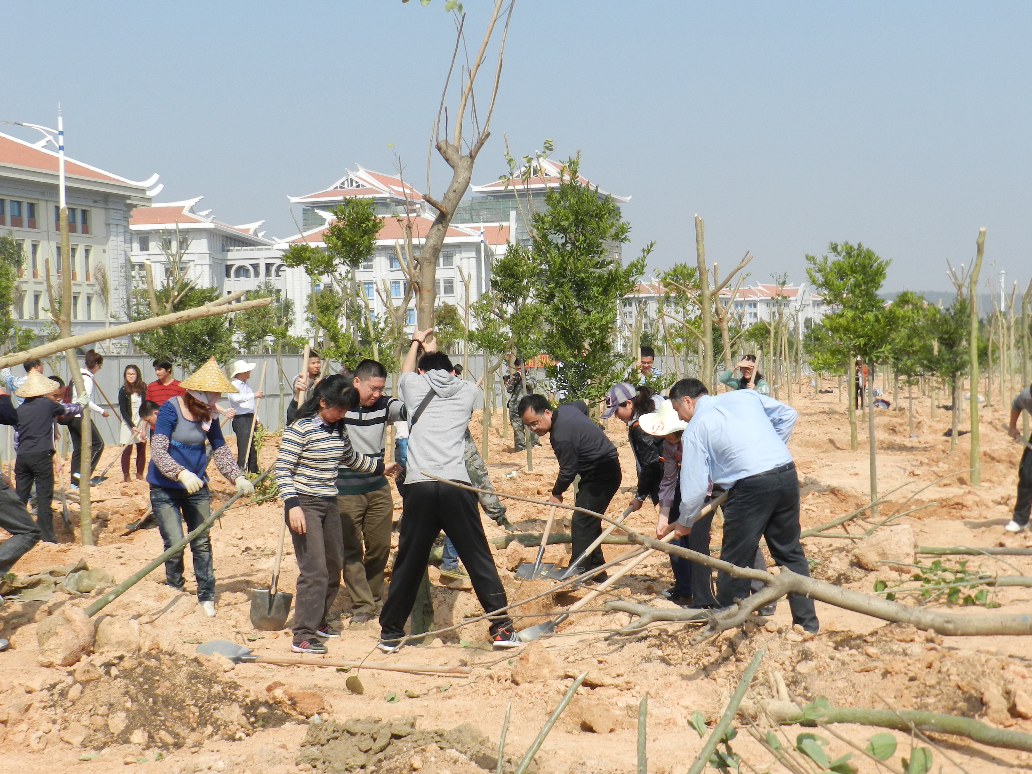 翔安师生植树忙,后勤绿化来帮忙—绿化项目部为翔安校区植树节活动提供后勤保障