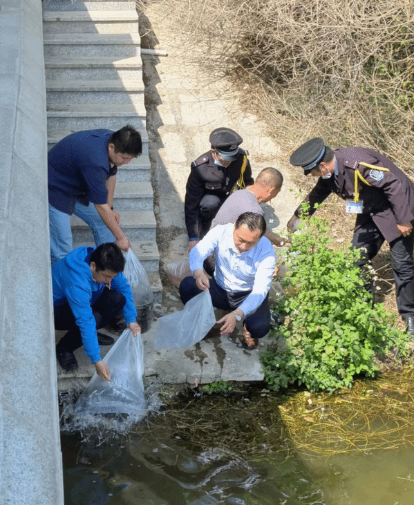 “以鱼净水、以水养鱼”