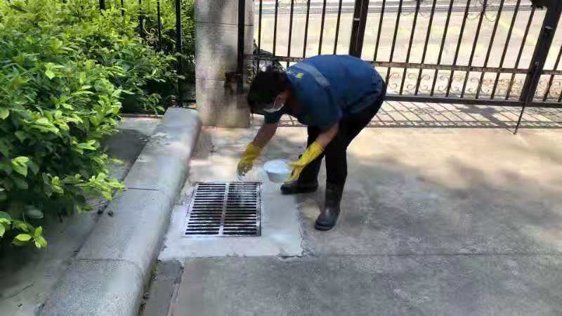 【学党史办实事】公寓党支部开展有害生物专项防治