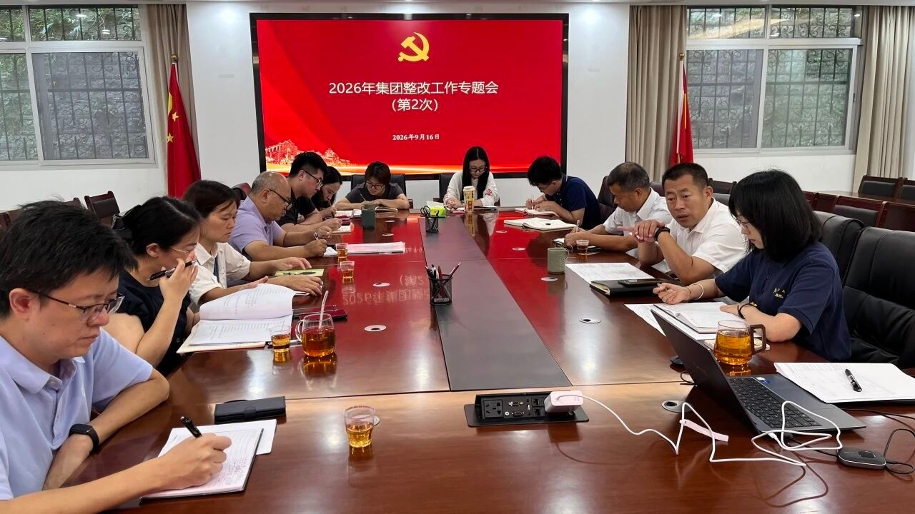 集团召开2026年第二次整改工作专题会