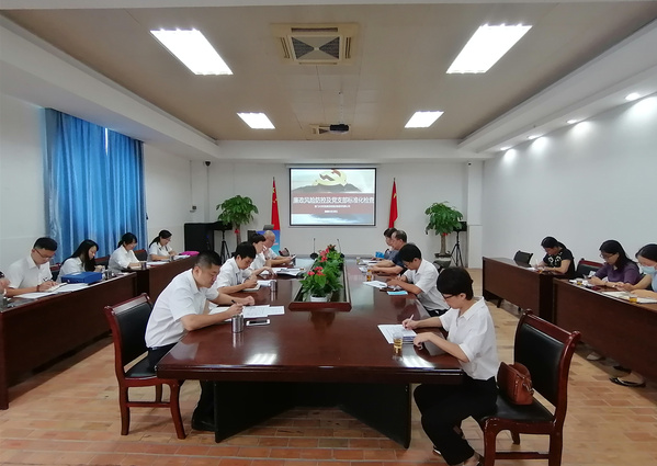 集团开展廉政风险防控及党支部标准化建设专项检查
