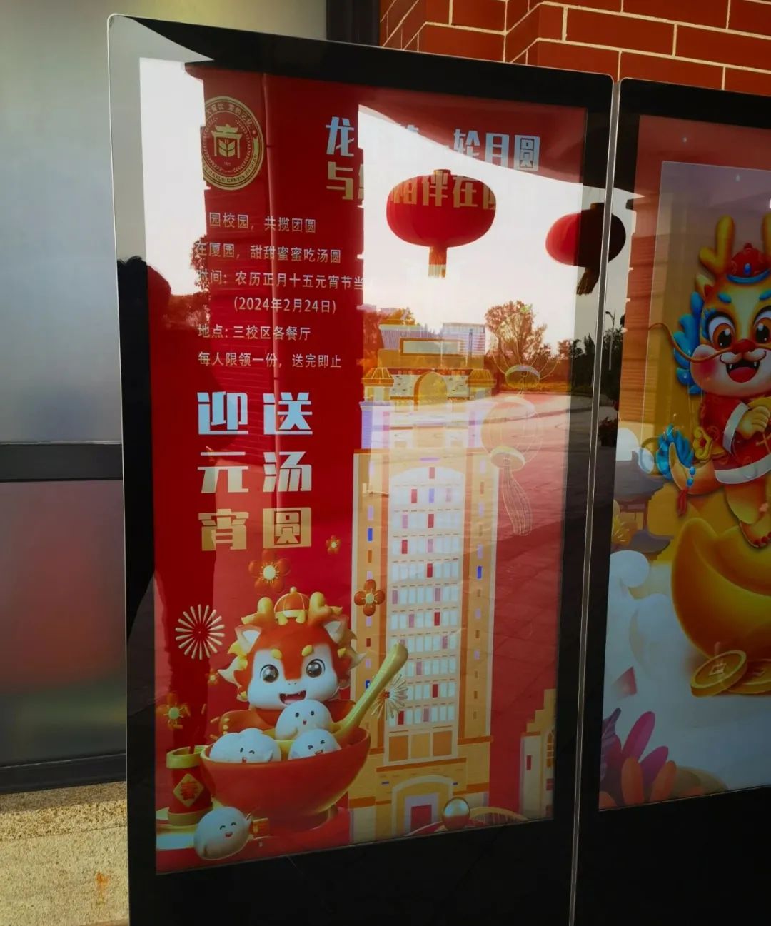 欢度元宵丨在厦园,吃汤圆,心绵绵,笑甜甜