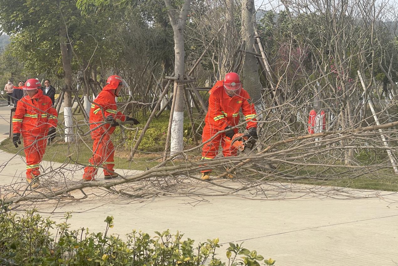 防台防汛,常备不懈——集团翔安校区服务办各部门积极参加校区应急抢险演练