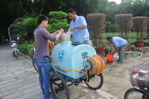 学生公寓与环境服务中心扎实开展校园病虫害消杀防治工作