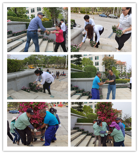 摆盆栽清垃圾  扮靓校庆校园 ——漳州校区服务办党支部开展党员志愿活动助力提升校庆环境