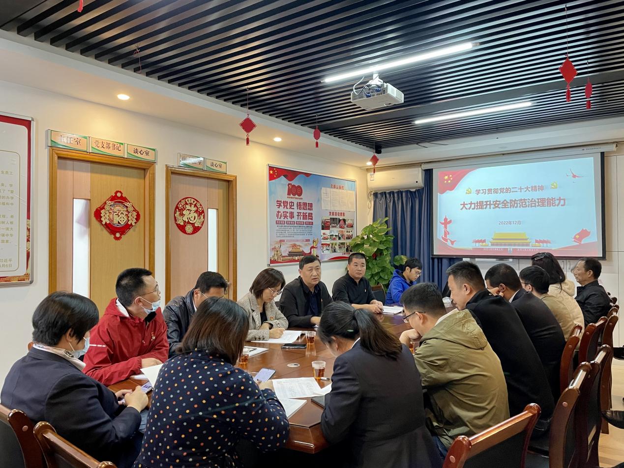 学习贯彻党的二十大精神 大力提升安全防范治理能力