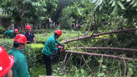 迎战“米克拉” 南强物业做好防汛抗台工作