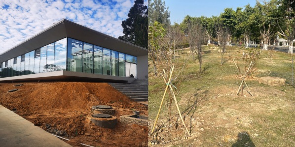 美化校园 科学管理 精工细作——翔安校区校园服务部绿化工程点滴