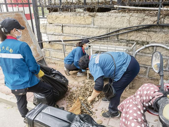 洁净校园,助力创城