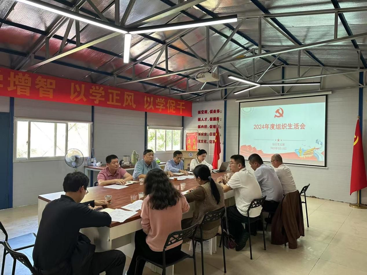 综合党支部召开2024年度组织生活会
