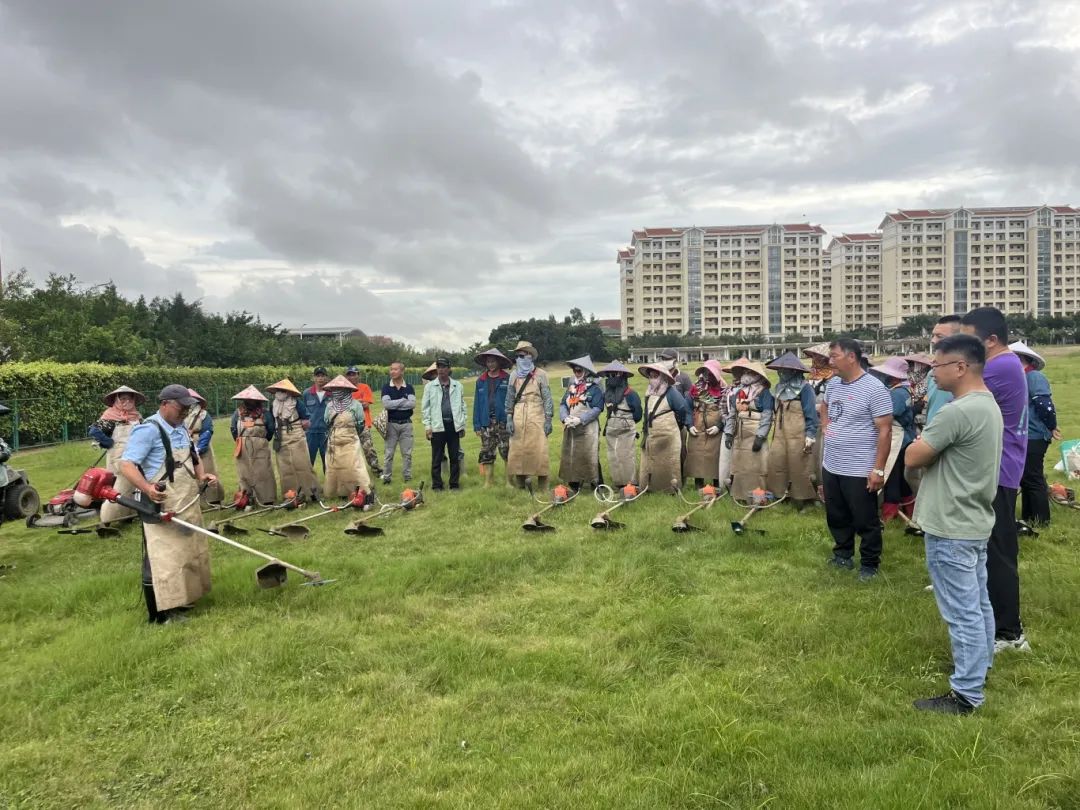 强化技能培训 助力绿化提质