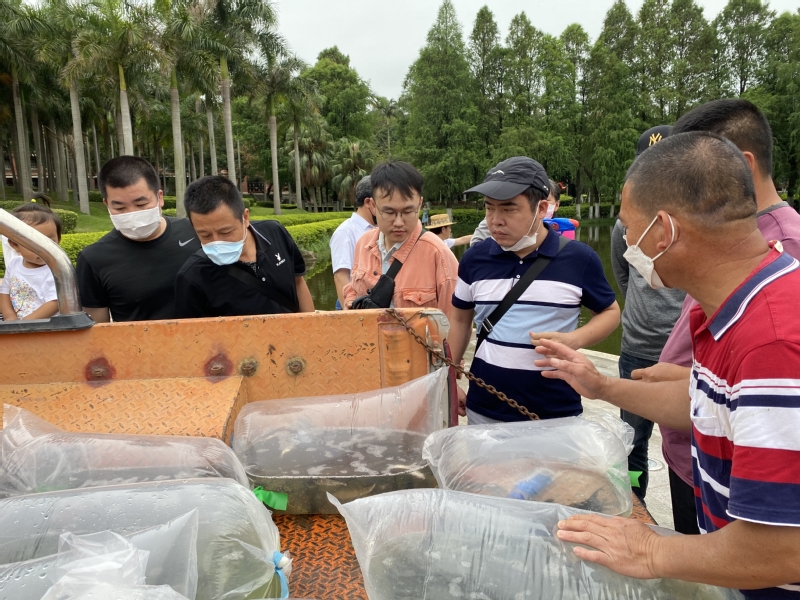 以鱼养水,3600余尾鱼苗投放芙蓉湖