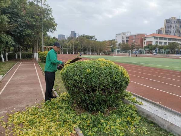 南强物业绿化忙 不负春日好时光